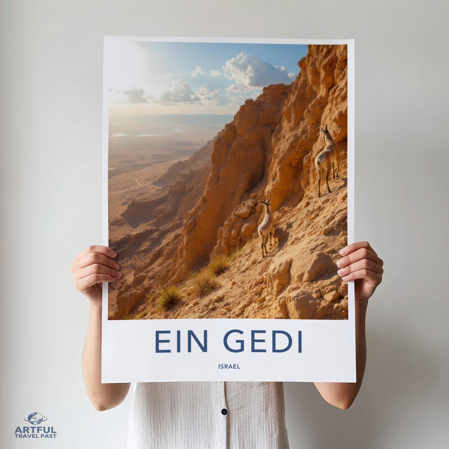 Ein Gedi Desert Poster - Israel Wall Art