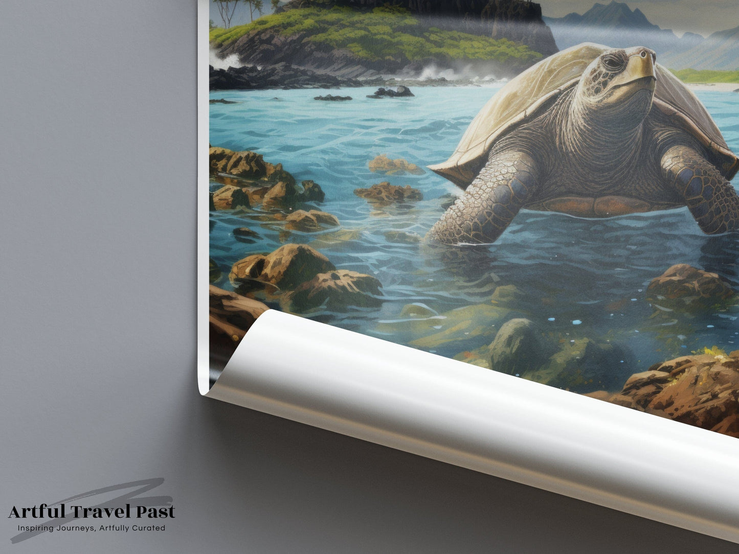 Galapagos Islands Poster - Ecuador Wall Art
