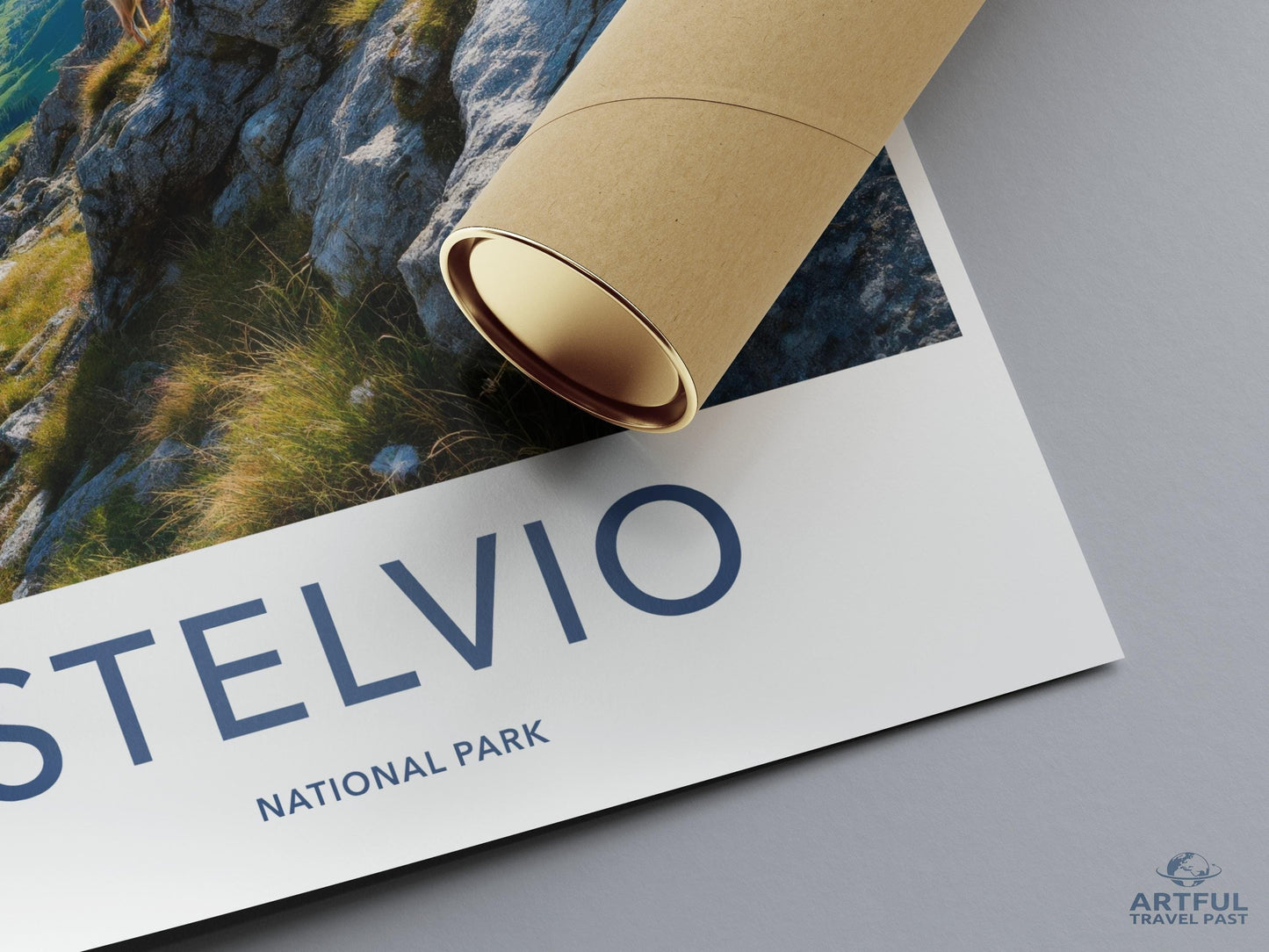 Stelvio National Park Poster - Italy