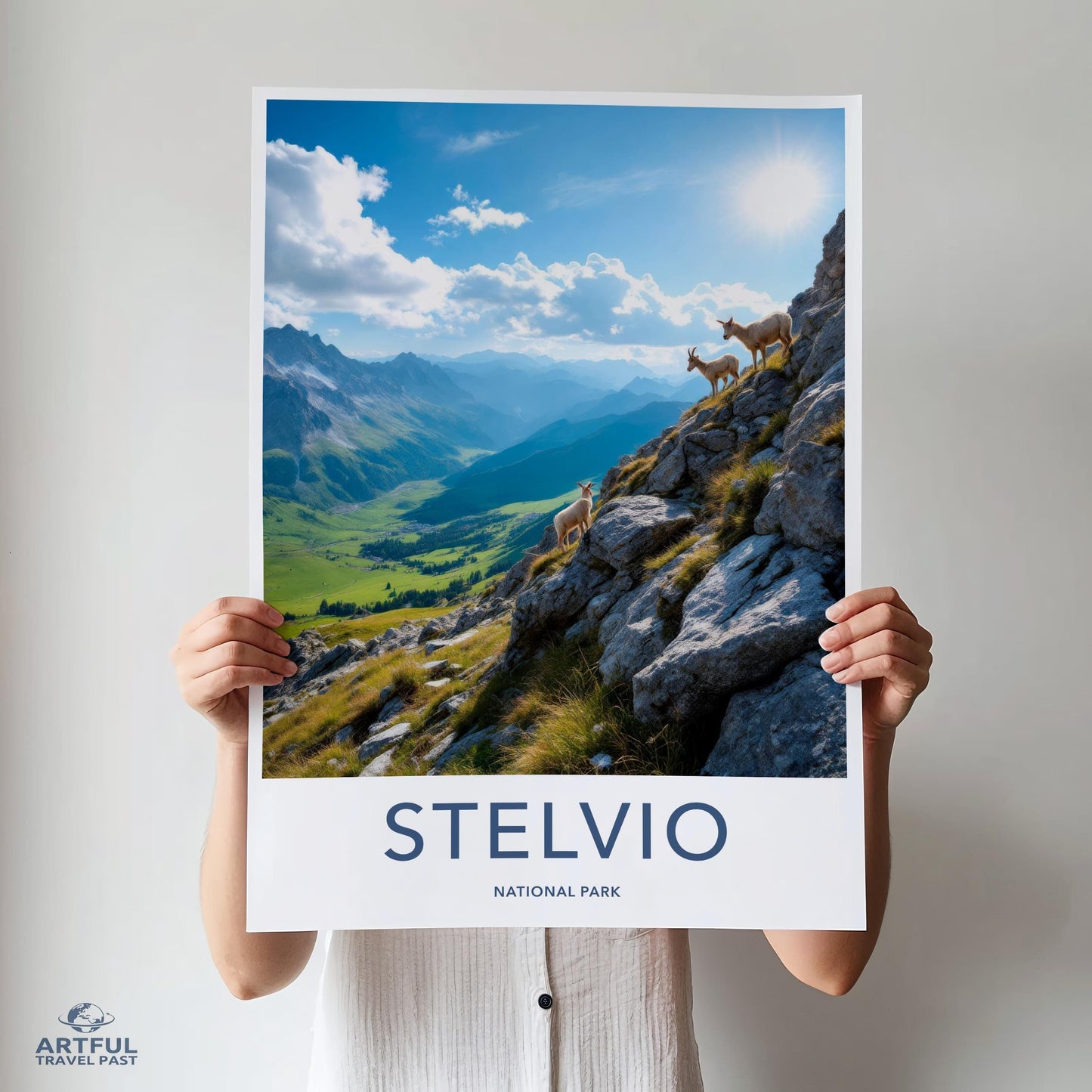 Stelvio National Park Poster - Italy