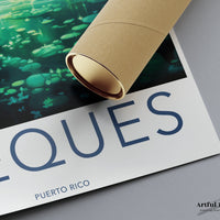 Vieques Puerto Rico Poster