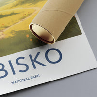 Abisko National Park Poster
