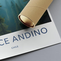 Alerce Andino National Park Poster