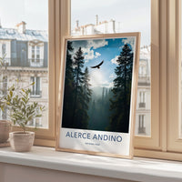 Alerce Andino National Park Poster - Chile