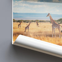 Amboseli Kenya Poster - National park