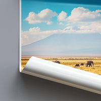 Amboseli National Park Poster