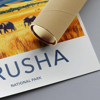 Arusha National Park Poster