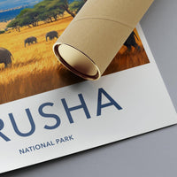 Arusha National Park Poster - Tanzania Wall Art