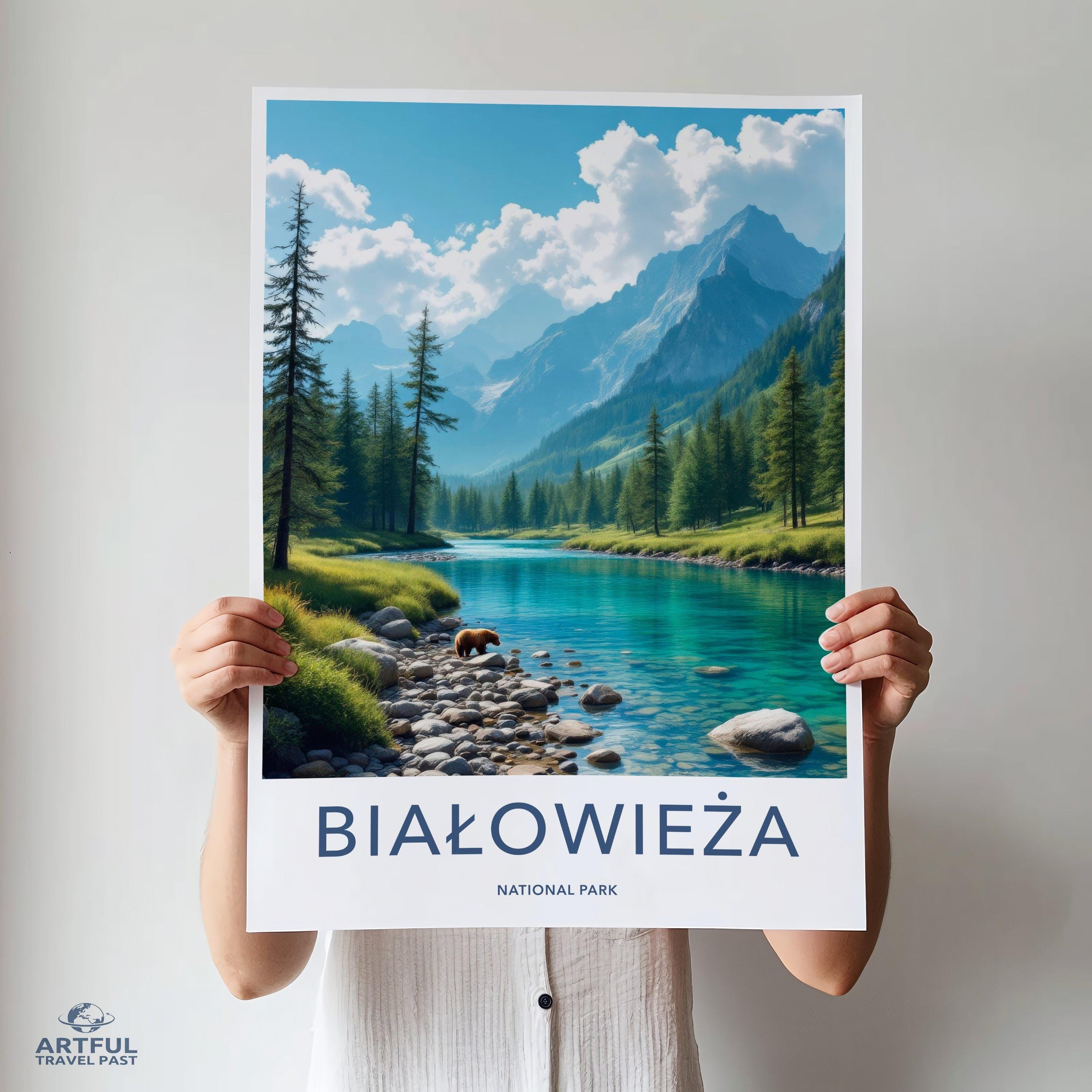 Białowieża Forest National Park Poster | Poland Wall Art