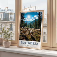 Białowieża National Park Poster