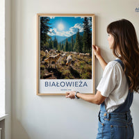 Białowieża National Park Poster