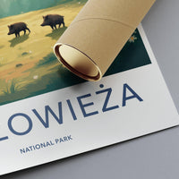 Białowieża National Park Poster