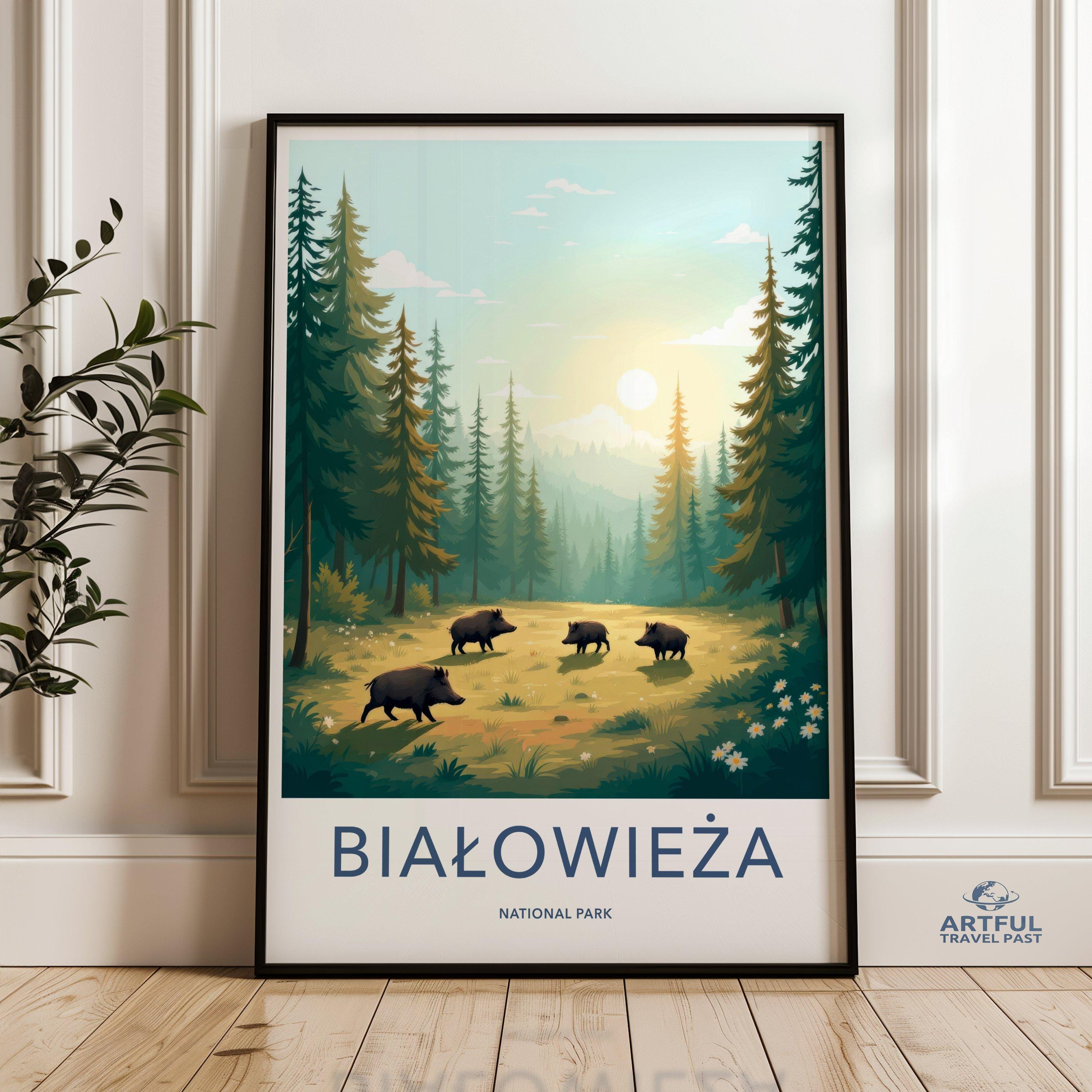 Białowieża National Park Poster