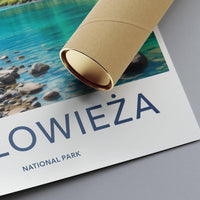Białowieża National Park Poster