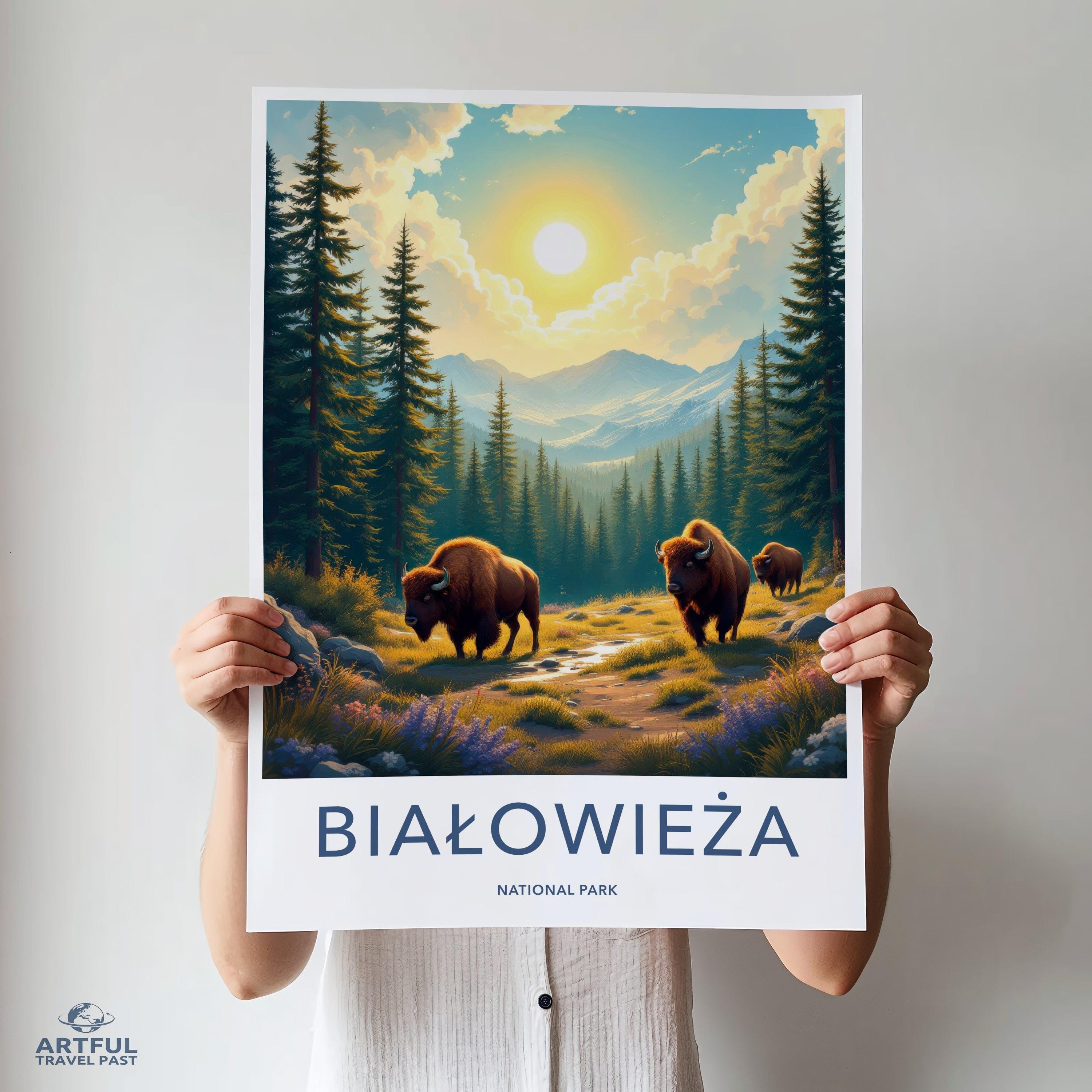 Białowieża National Park Poster | Poland Wall Art