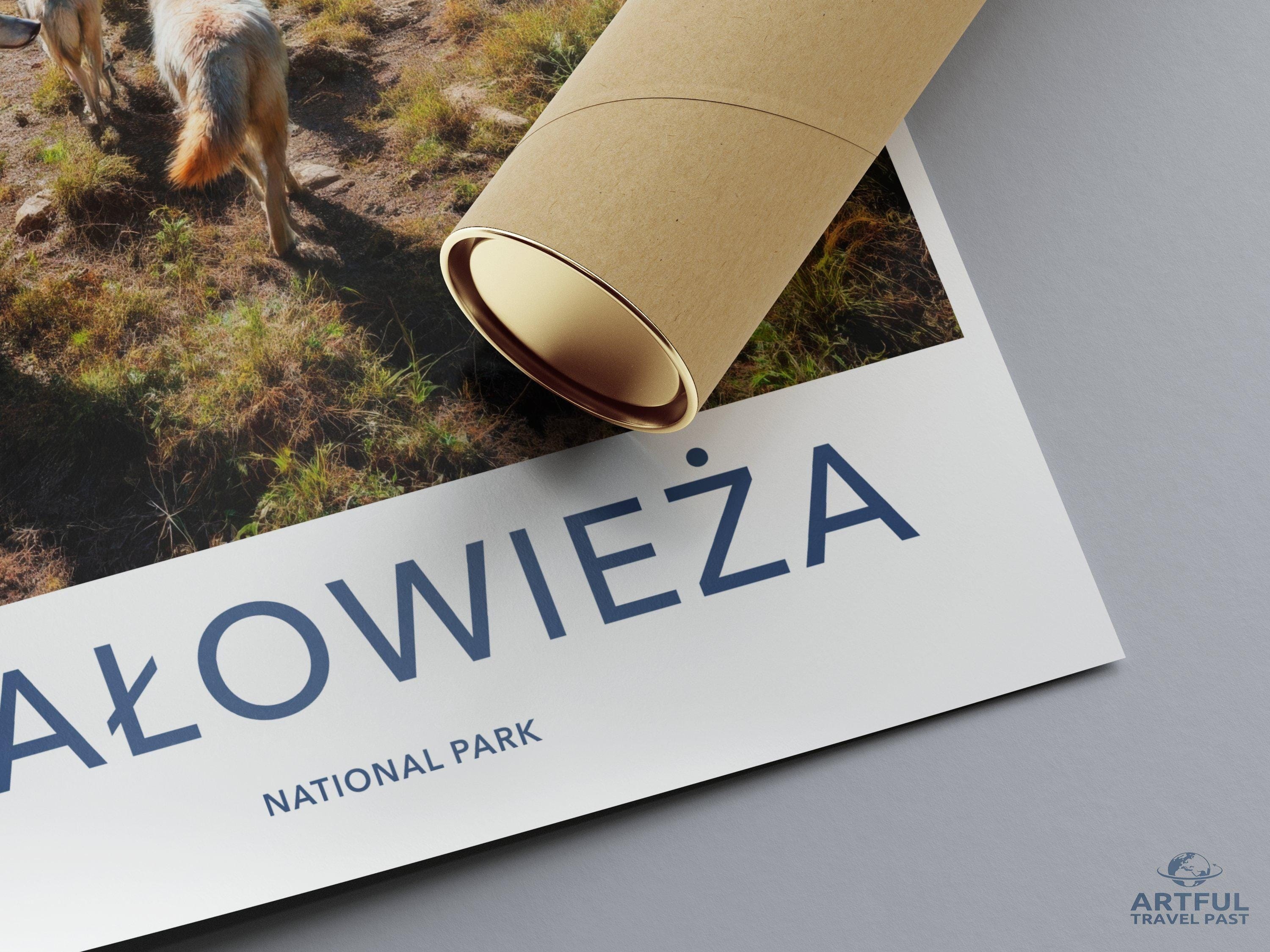 Białowieża National Park Poster | Poland Wall Art