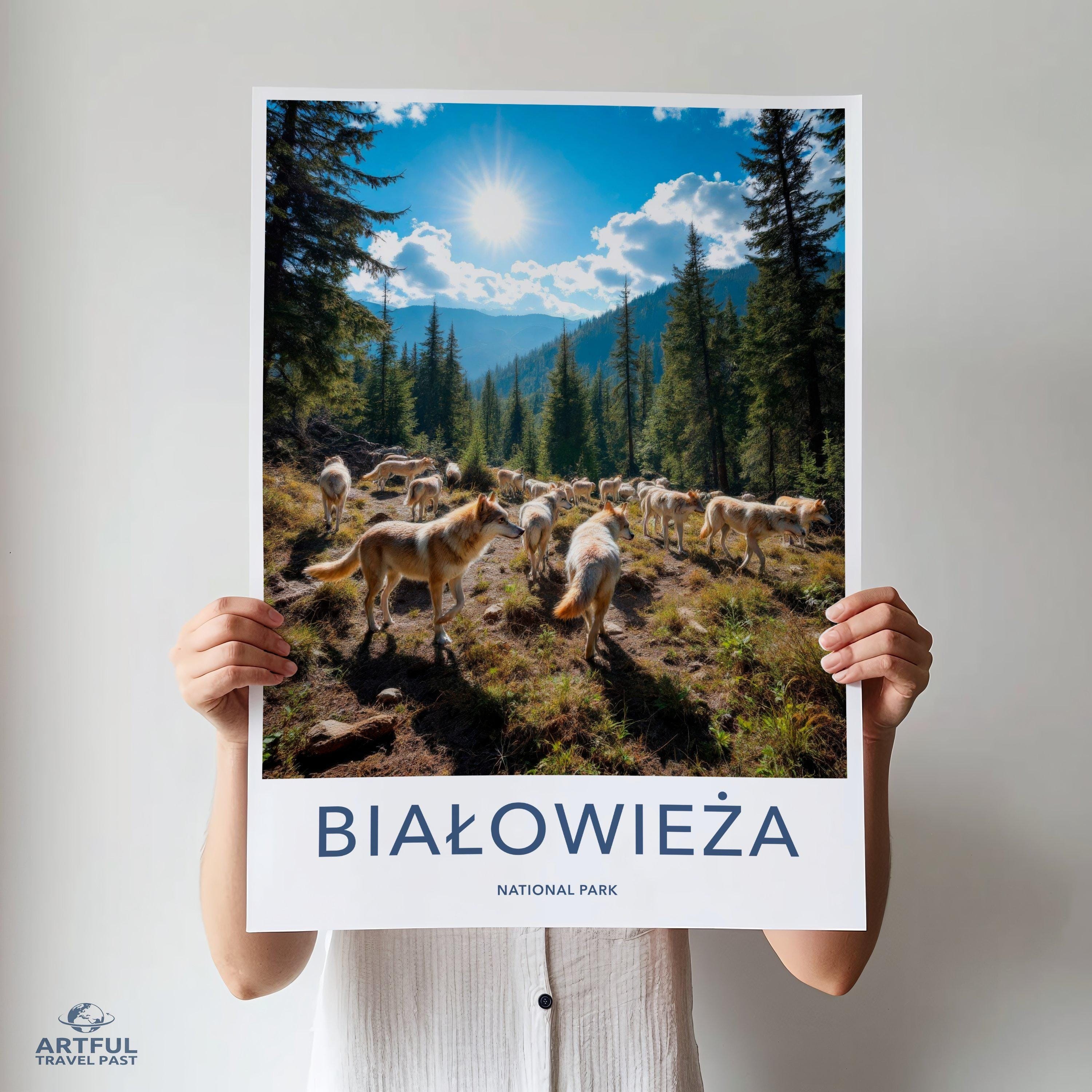 Białowieża National Park Poster | Poland Wall Art