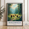 Białowieża National Park Poster | Poland Wall Art