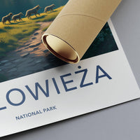 Białowieża Poster - Poland National Park