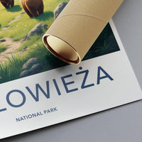 Białowieża Poster - Poland Wall Art
