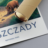 Bieszczady National Park Poster
