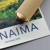 Canaima National Park Poster | Venezuela Wall Art