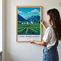 Cape Winelands Poster