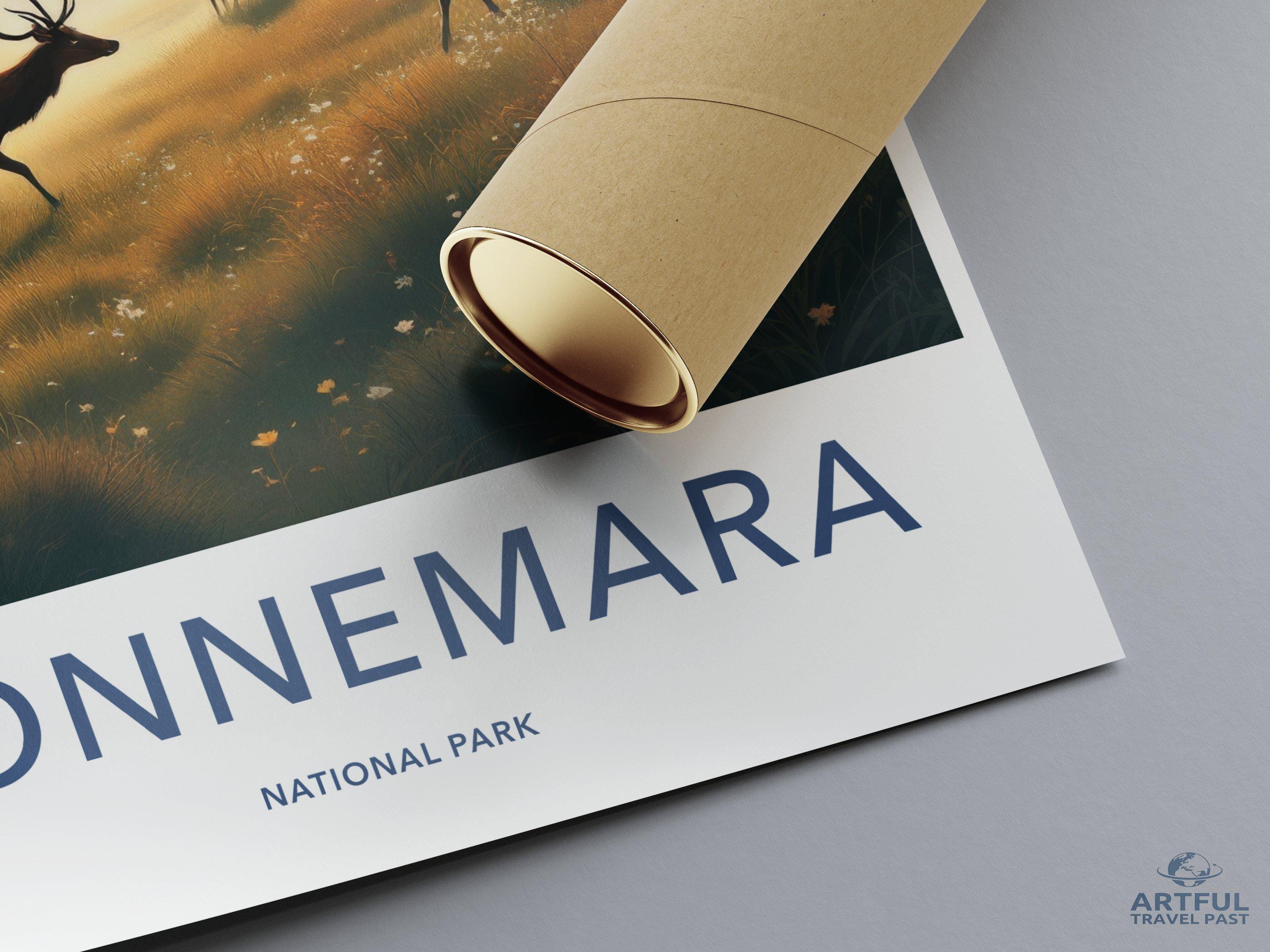 Connemara Poster - Ireland Wall Art