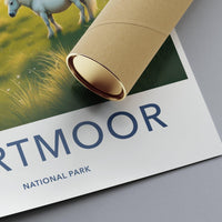 Dartmoor National Park Poster