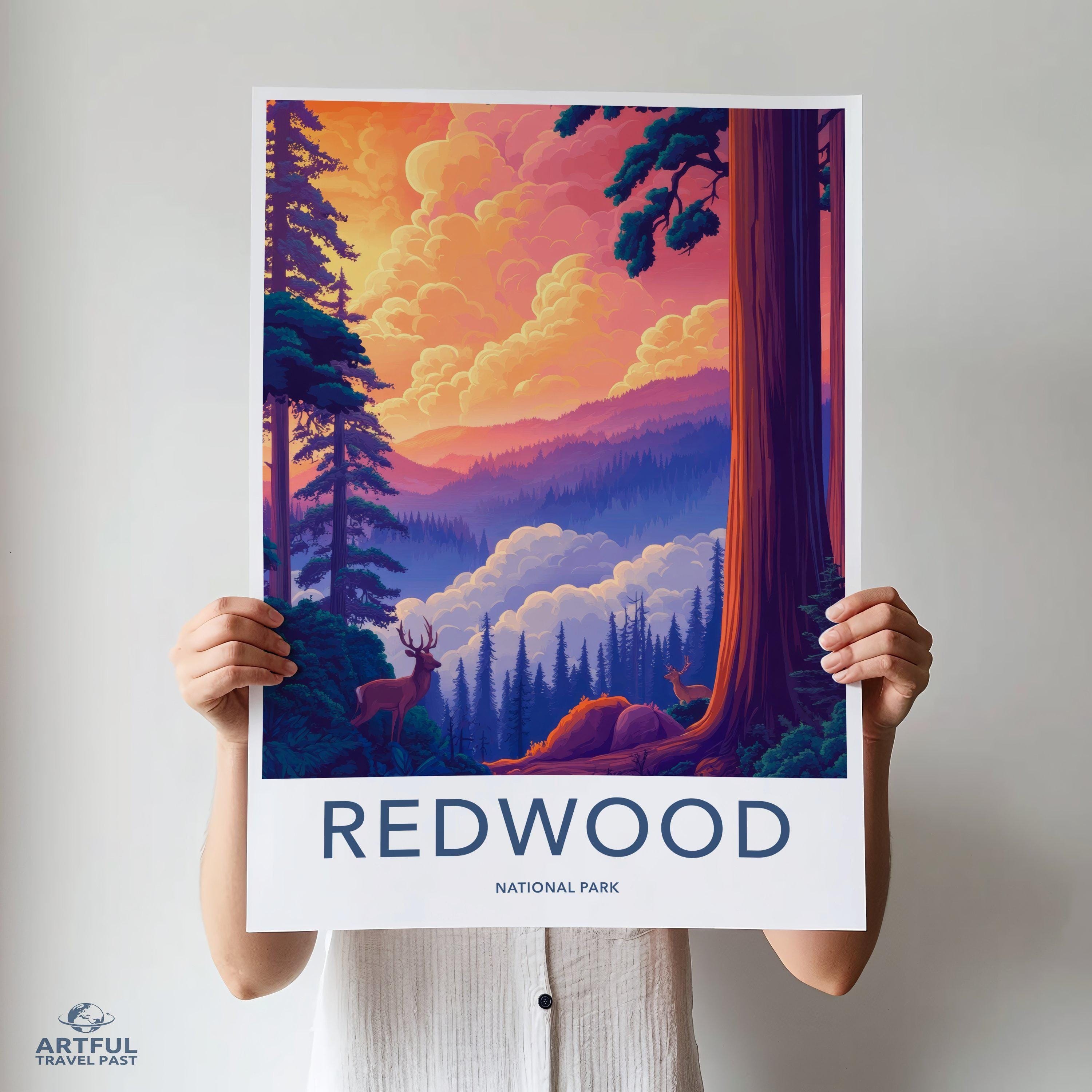 Redwood National Park Poster | California Wall Art