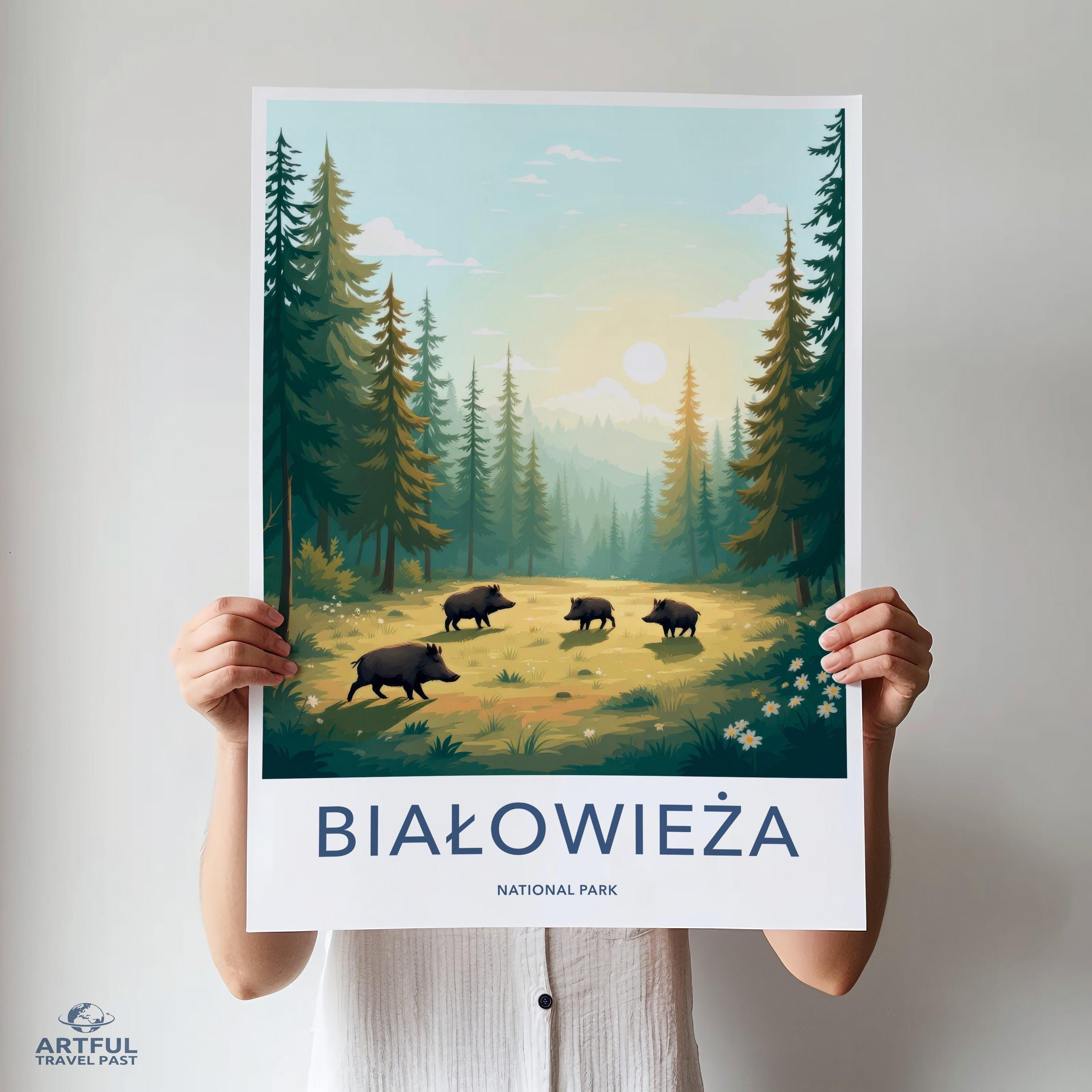 Białowieża National Park Poster | Poland Wall Art