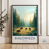 Białowieża National Park Poster | Poland Wall Art