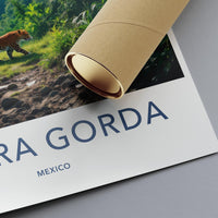Sierra Gorda Mexico Travel Poster, Nature Landscape Print, Wall Art, Adventure Decor, Wildlife Art, Jungle Animal Poster