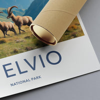 Stelvio National Park Wall Art, Nature Landscape Poster, Mountains and Wildlife Print, Travel Themed Home Decor, Art for Living Room