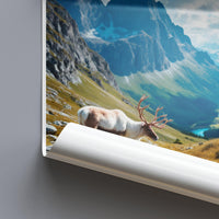 Jotunheimen National Park Poster