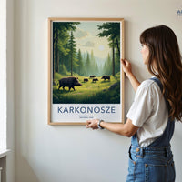 Karkonosze National Park Poster | Poland Wall Art