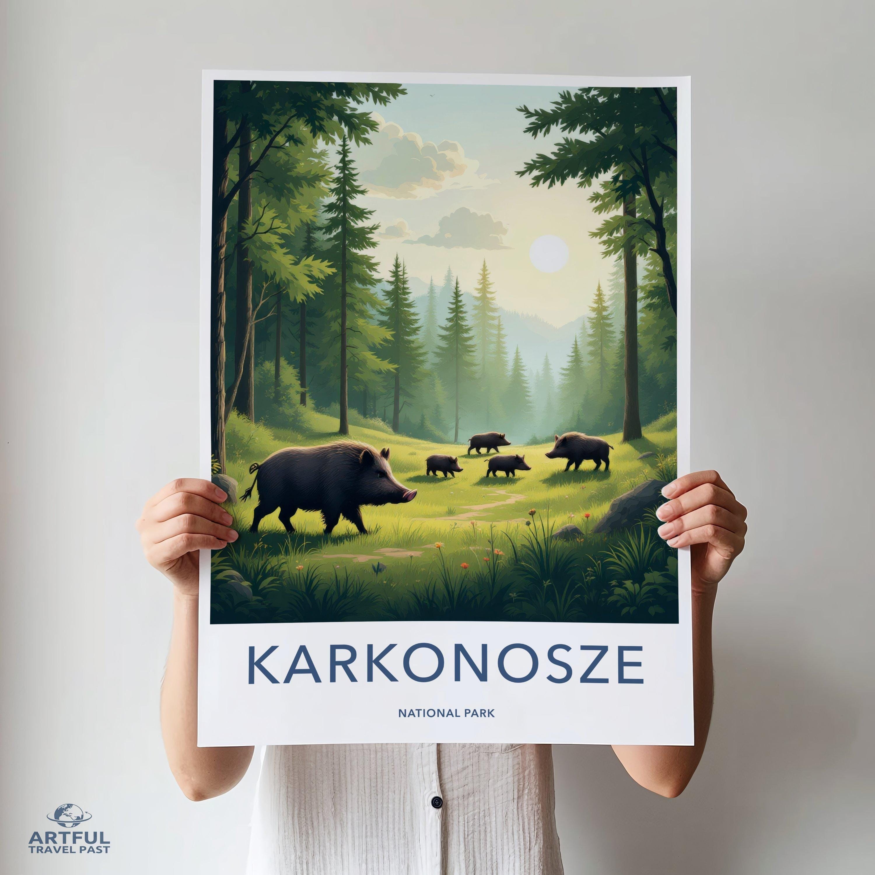 Karkonosze National Park Poster | Poland Wall Art