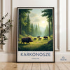 Karkonosze National Park Poster | Poland Wall Art