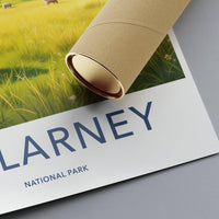 Killarney National Park Poster - Ireland Wall Art