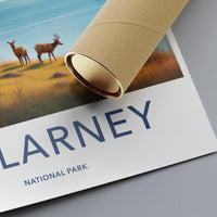 Killarney Poster - Ireland Wall Art