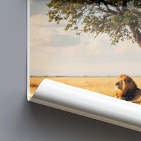Kruger National Park Poster - South Africa