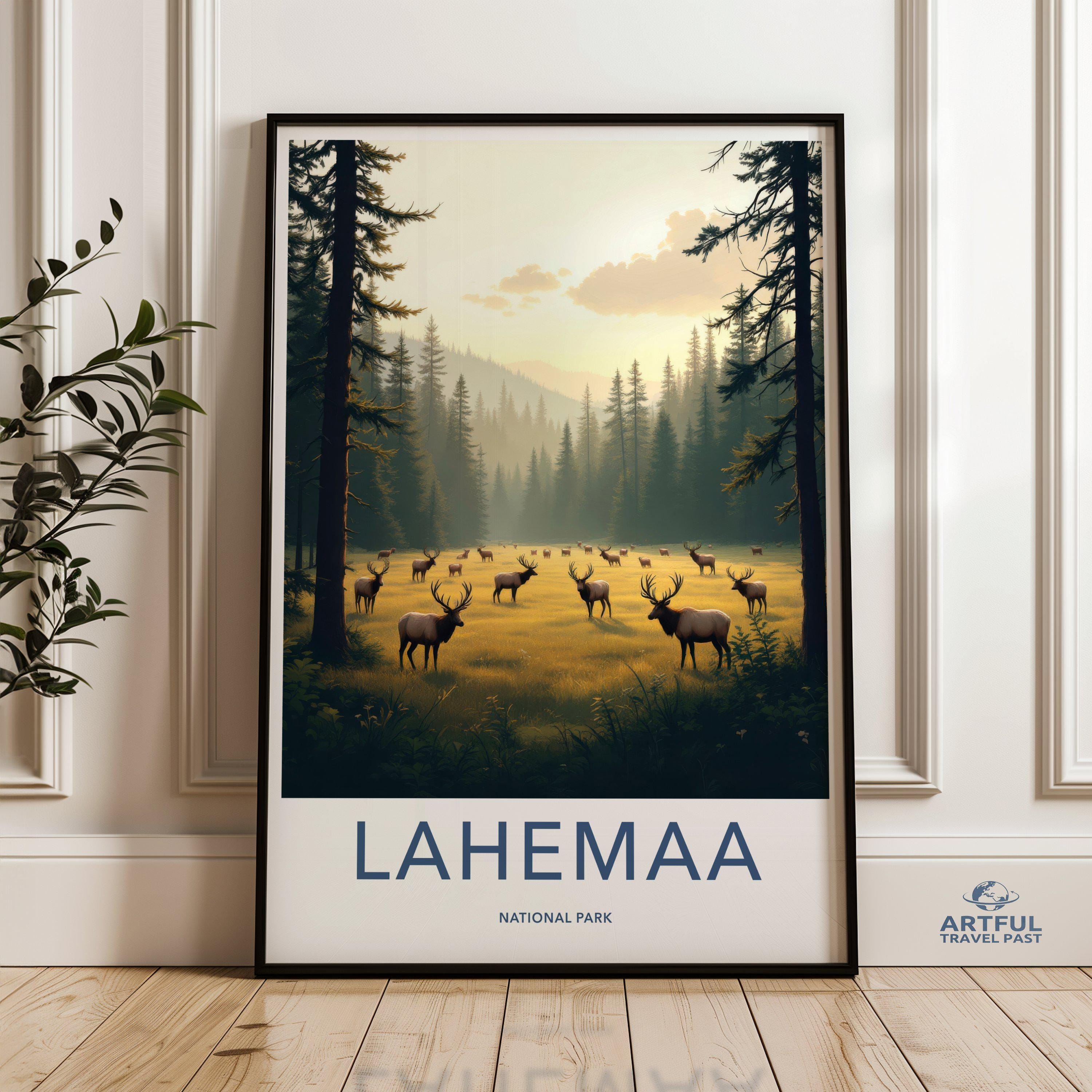Lahemaa National Park Poster