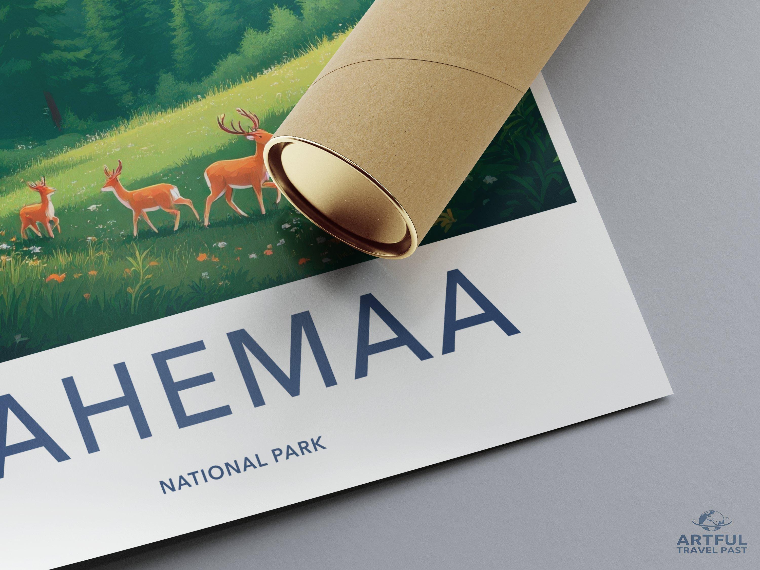 Lahemaa National Park Poster | Estonia Wall Art