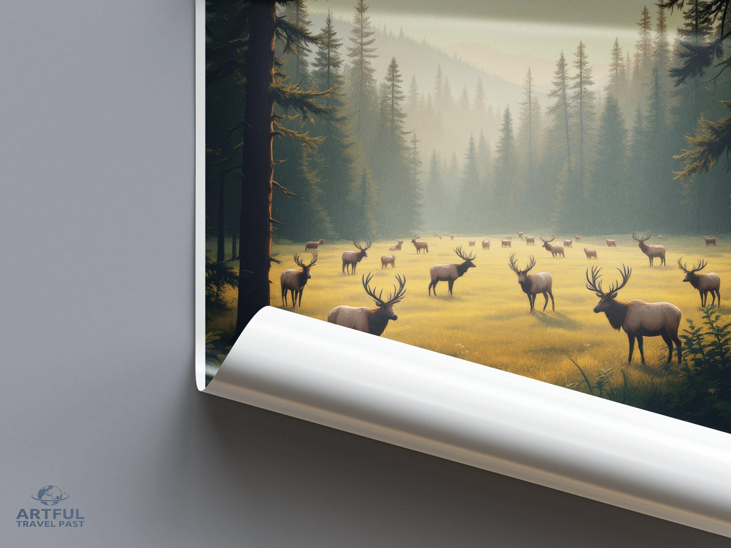 Lahemaa National Park Poster | Estonia Wall Art