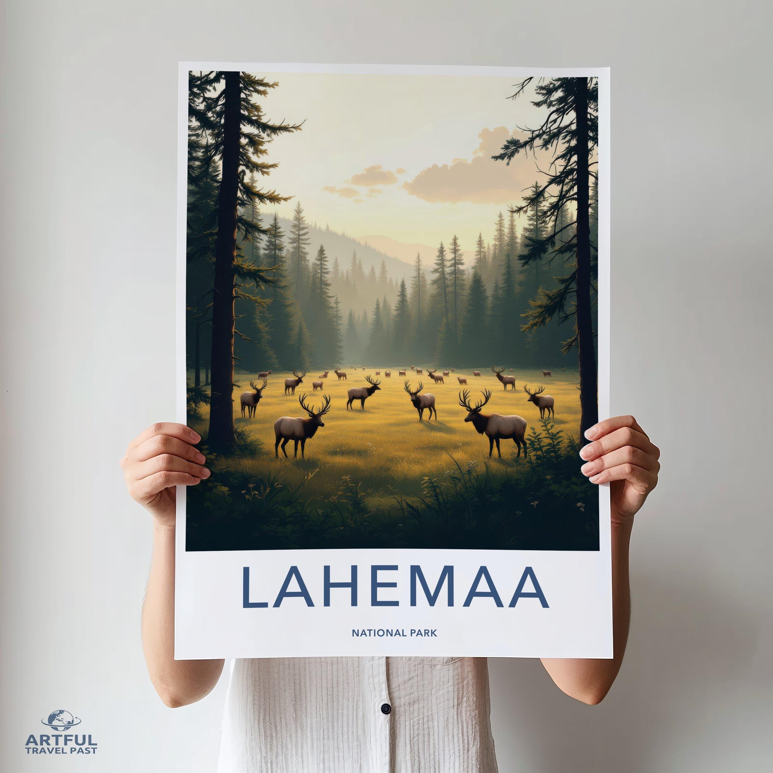 Lahemaa National Park Poster | Estonia Wall Art