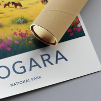 Llogara National Park Poster - Albania