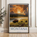 Montana Poster