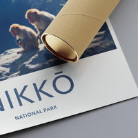Nikko National Park Poster - Japan