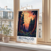Redwood National Park Poster