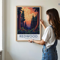 Redwood National Park Poster